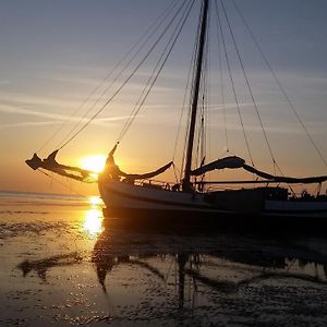 tjalkjacht pelikaan enkhuizen